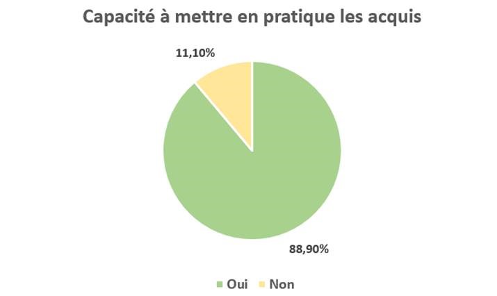 capacite_a_mettre_en_pratique_les_acquis